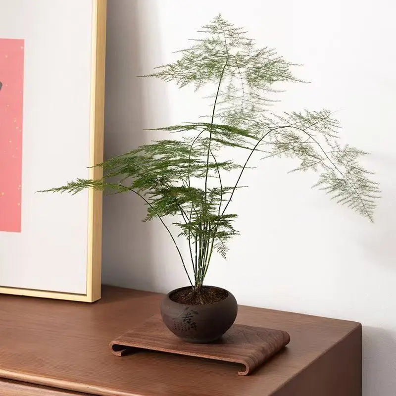 🍵 Walnut Wood Tray – For tea, gesture, or presentation