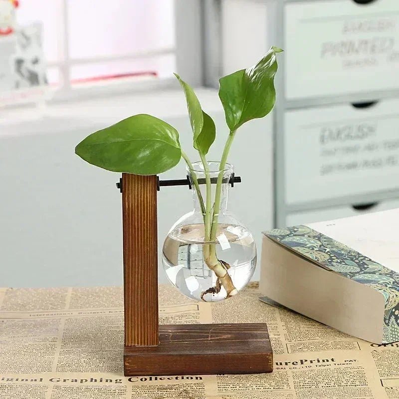 🌱 Support de culture hydroponique – Tube en verre & socle bois - Mylittlestudio