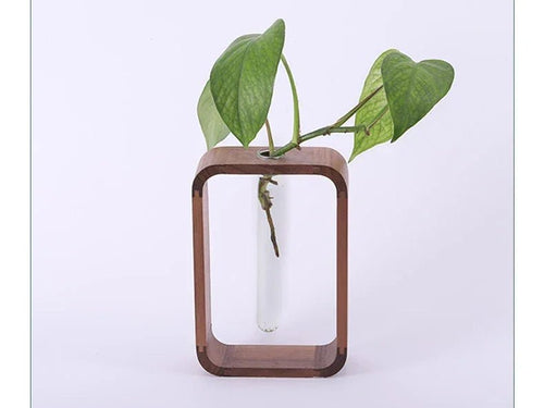 Modern Glass Hydroponic Green Plant Container Decorations, Dry Flowers, Pineapple Vases, Office Desktop Decorations - Mylittlestudio