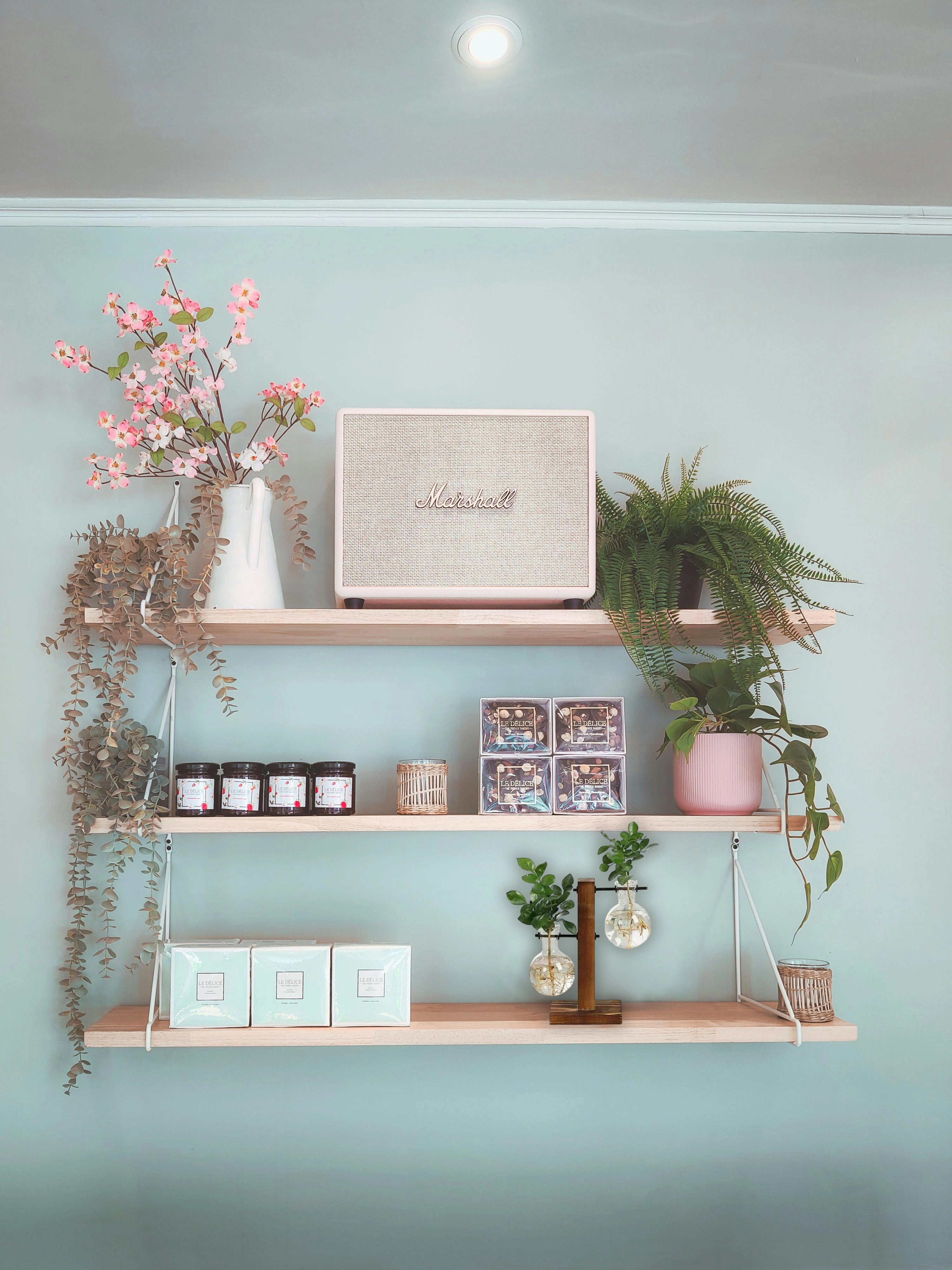 🌱 Station végétale en verre & bois – Support déco pour boutures et fleurs séchées