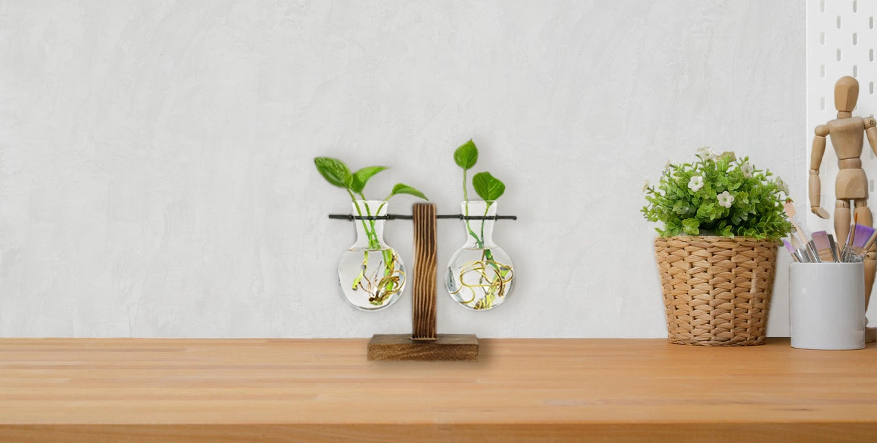 🌱 Glass &amp; wood plant station – Decorative support for cuttings and dried flowers